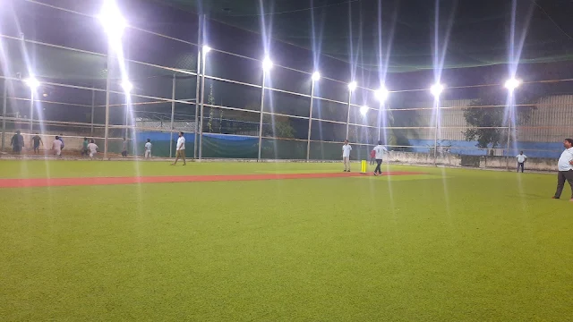 Turf photo 9