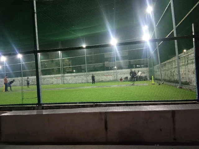 Turf photo 4