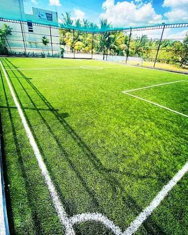 Turf Genesis