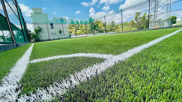 Turf photo 4
