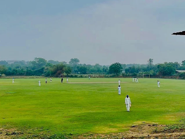 Turf main photo