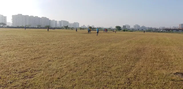 Turf photo 3