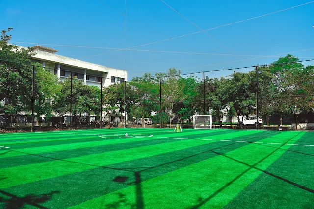 Turf photo 3