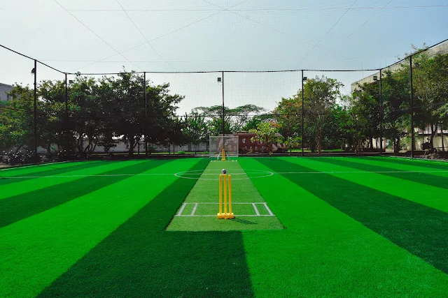 Turf photo 4