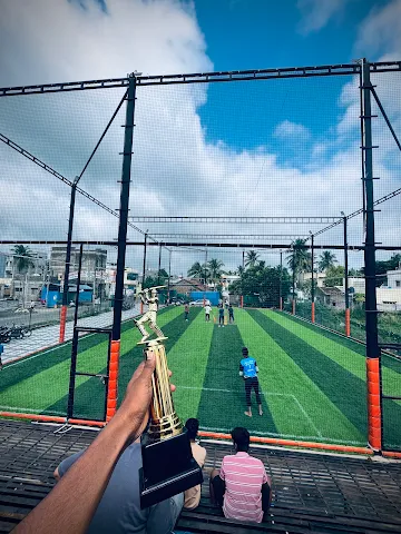 VP Cricket Turf