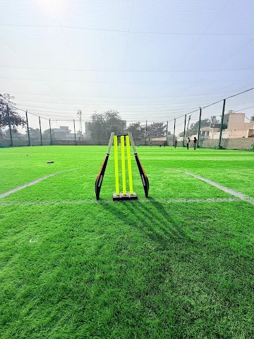 Turf photo 3
