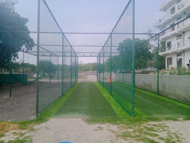 Turf photo 4
