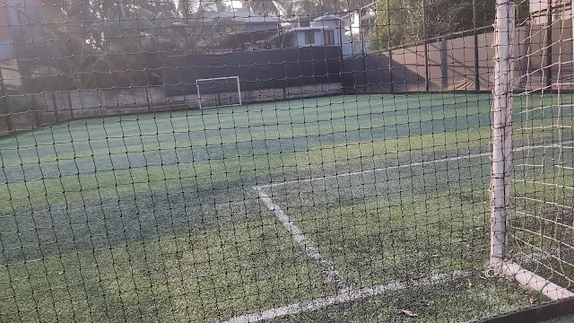 Turf photo 3