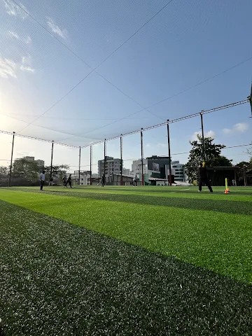 Turf photo 4