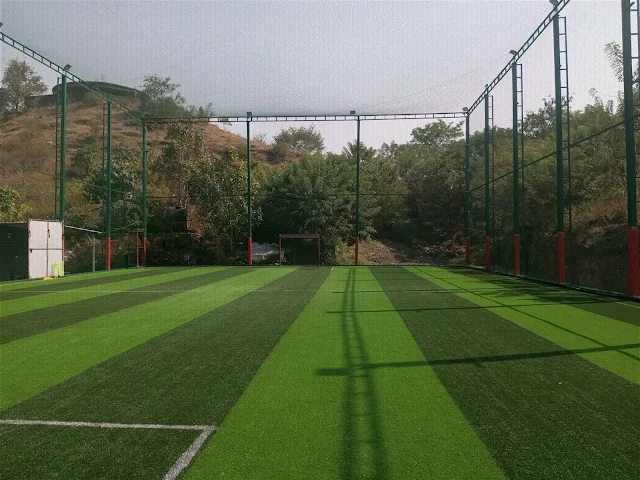 Turf photo 6
