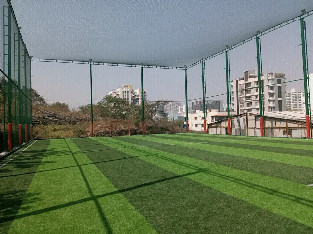Turf photo 5