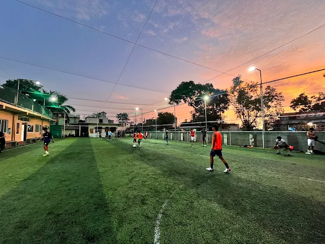 Turf photo 2