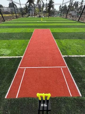 Turf photo 2
