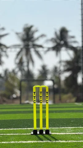 Turf photo 4