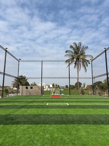 Turf photo 5