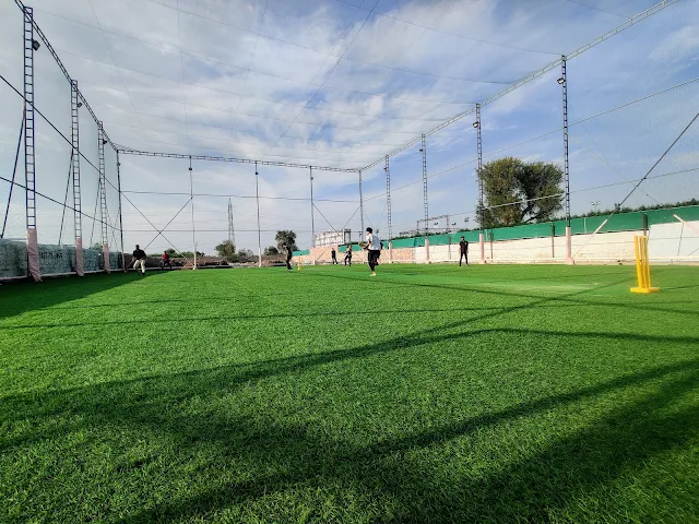 Free hit zone box cricket