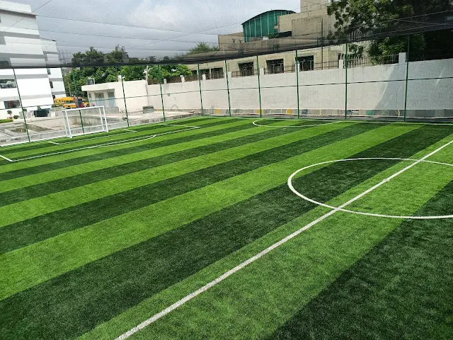 Turf photo 4