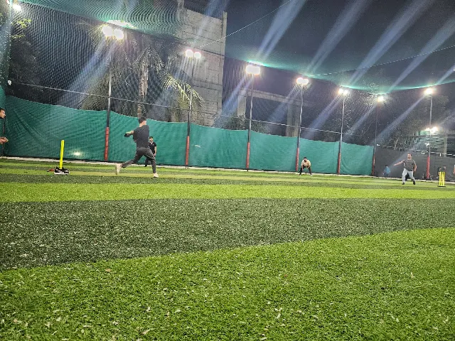 Turf photo 3