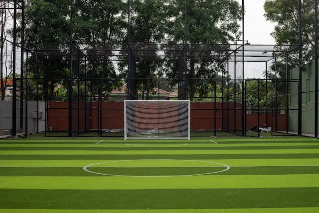 Turf photo 2