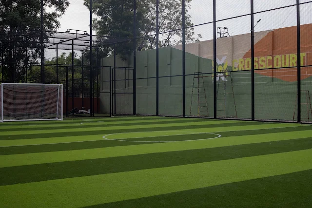 Turf photo 4
