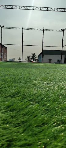Turf photo 4