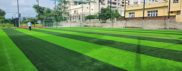 Turf photo 2