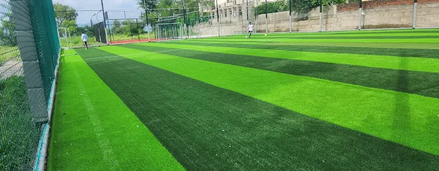 Cricket Turf