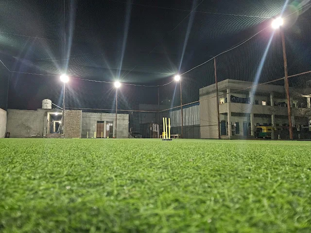 Turf photo 3
