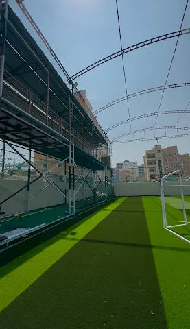 Turf photo 8