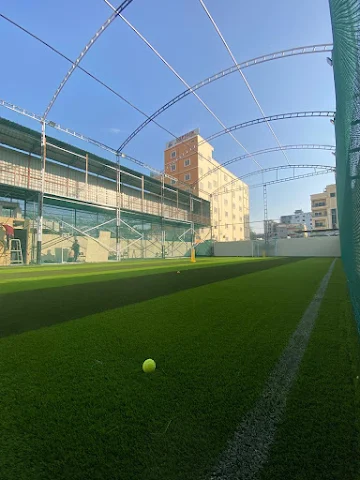Turf photo 4