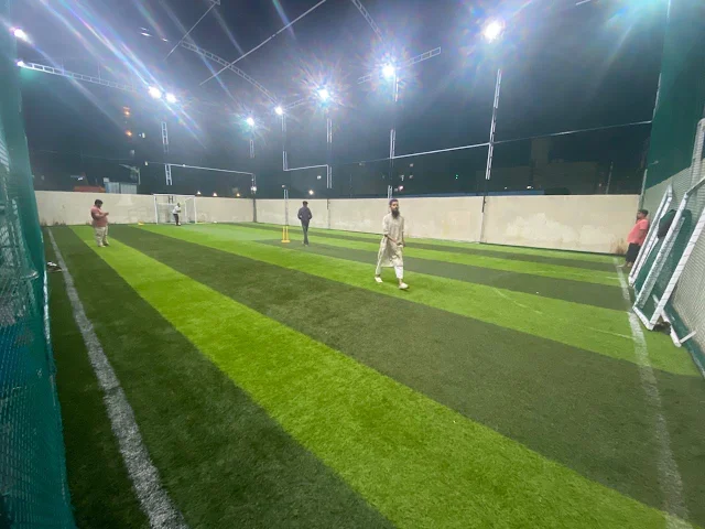 Turf photo 2