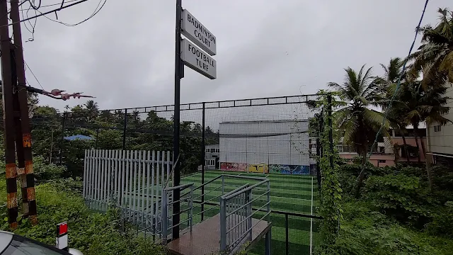 Turf photo 2