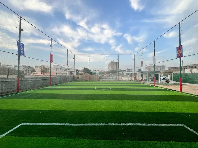 Turf photo 4