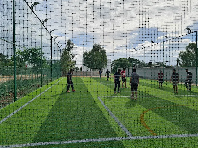 Turf main photo