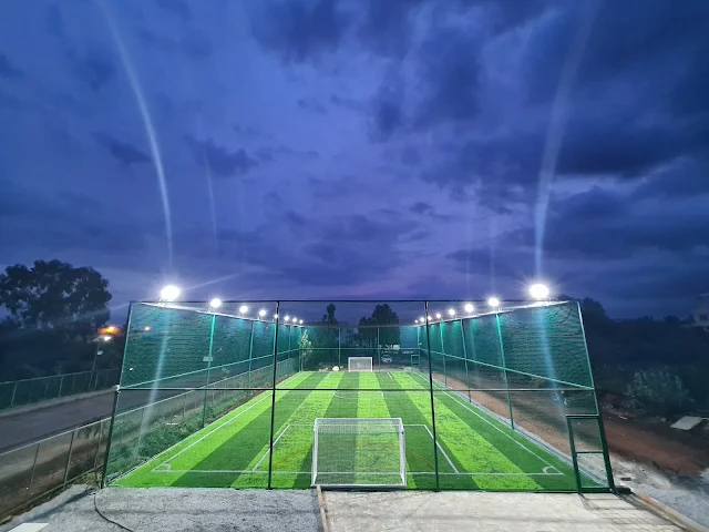 Turf photo 2
