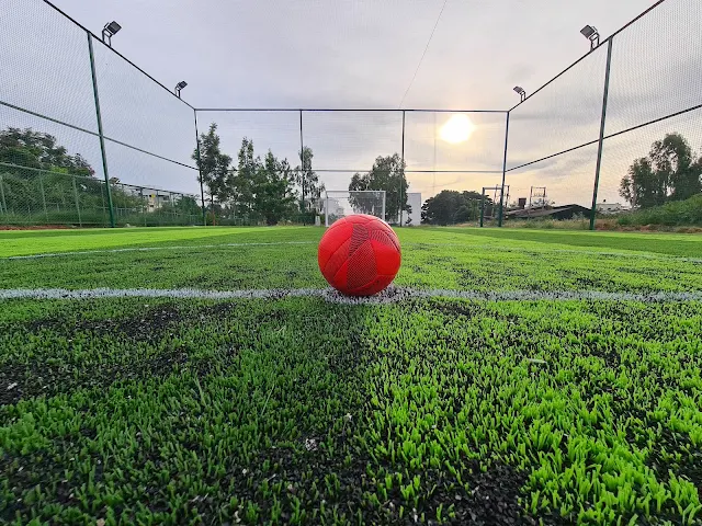 Turf photo 3