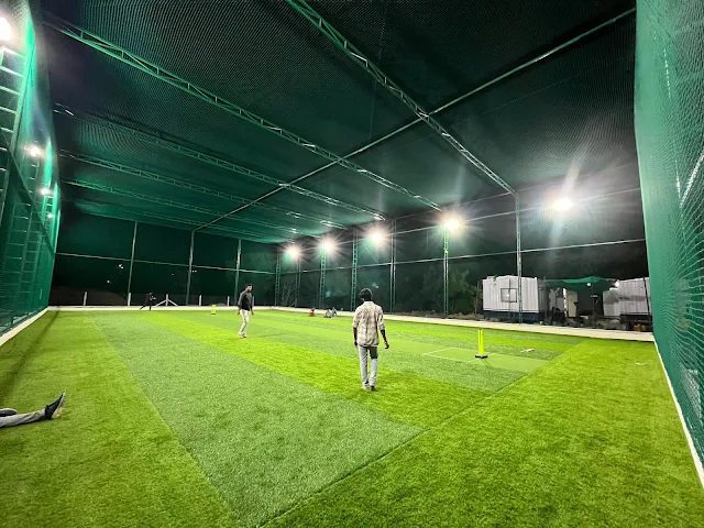 Turf photo 6