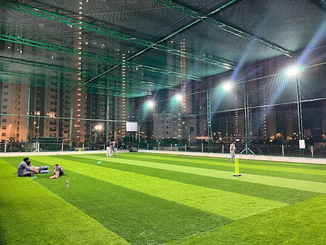 Turf photo 8