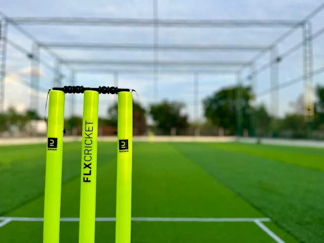 Turf photo 3
