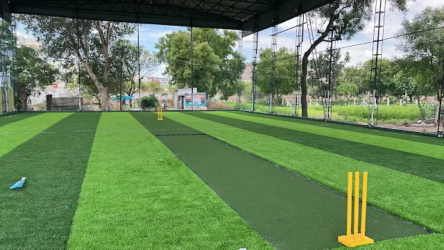Turf photo 4