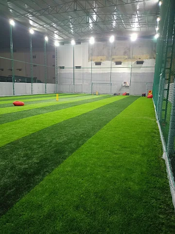 Turf photo 4