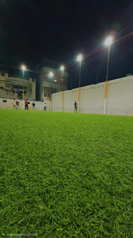 Turf photo 3