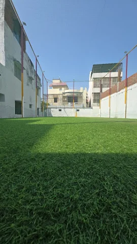 Turf photo 2