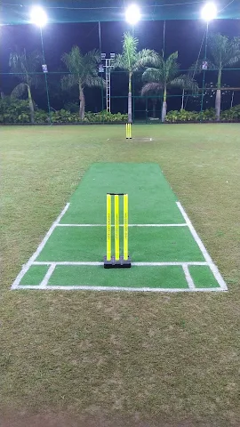 Turf photo 2