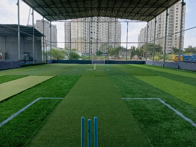 Turf photo 2
