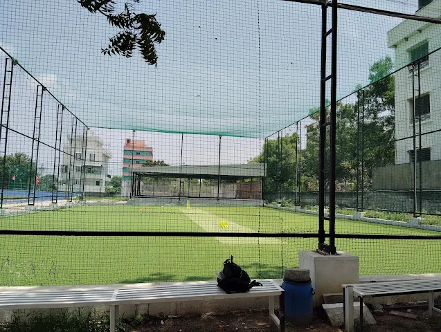 Turf photo 2