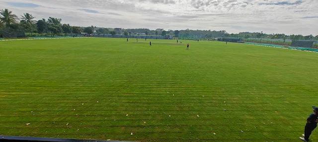 Turf main photo