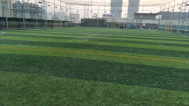 Turf main photo