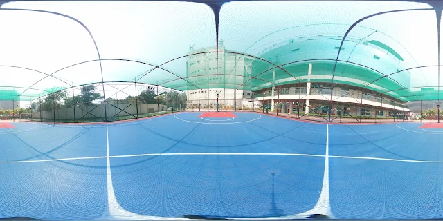 Turf photo 4