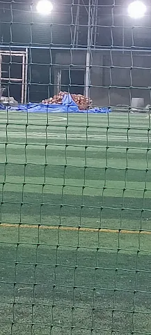Turf photo 3